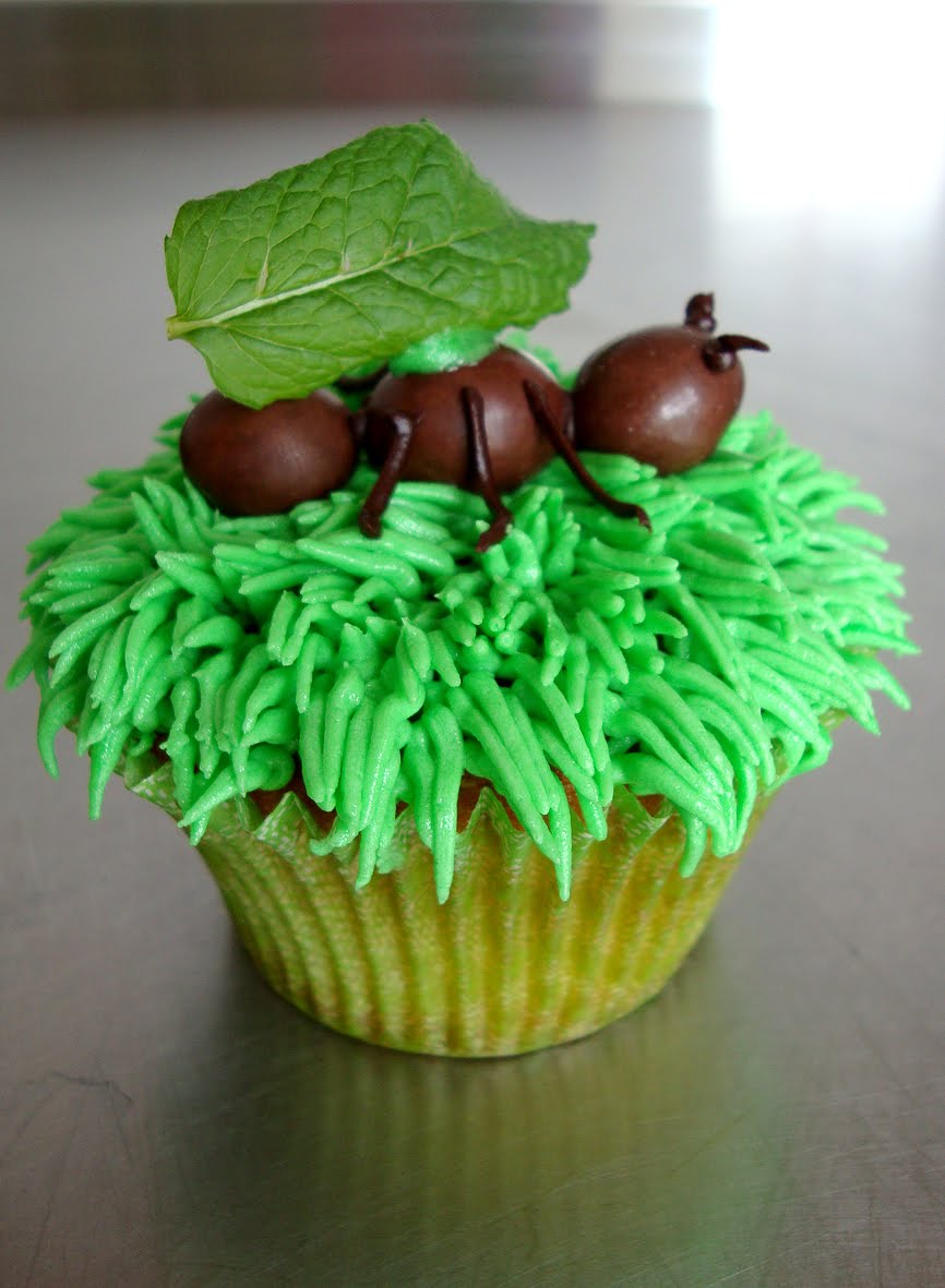 Hello There Cupcakes Oops there goes another rubber tree plant!