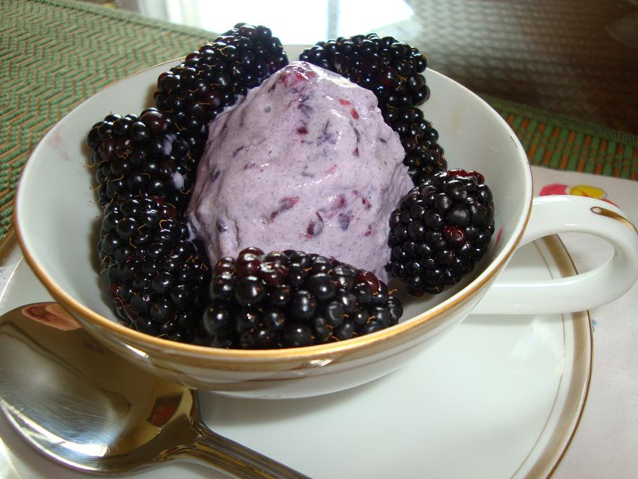 [Blackberry+frozen+yogurt.jpg]