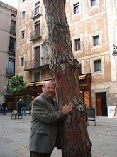 En la Plaza barcelonesa del Pino