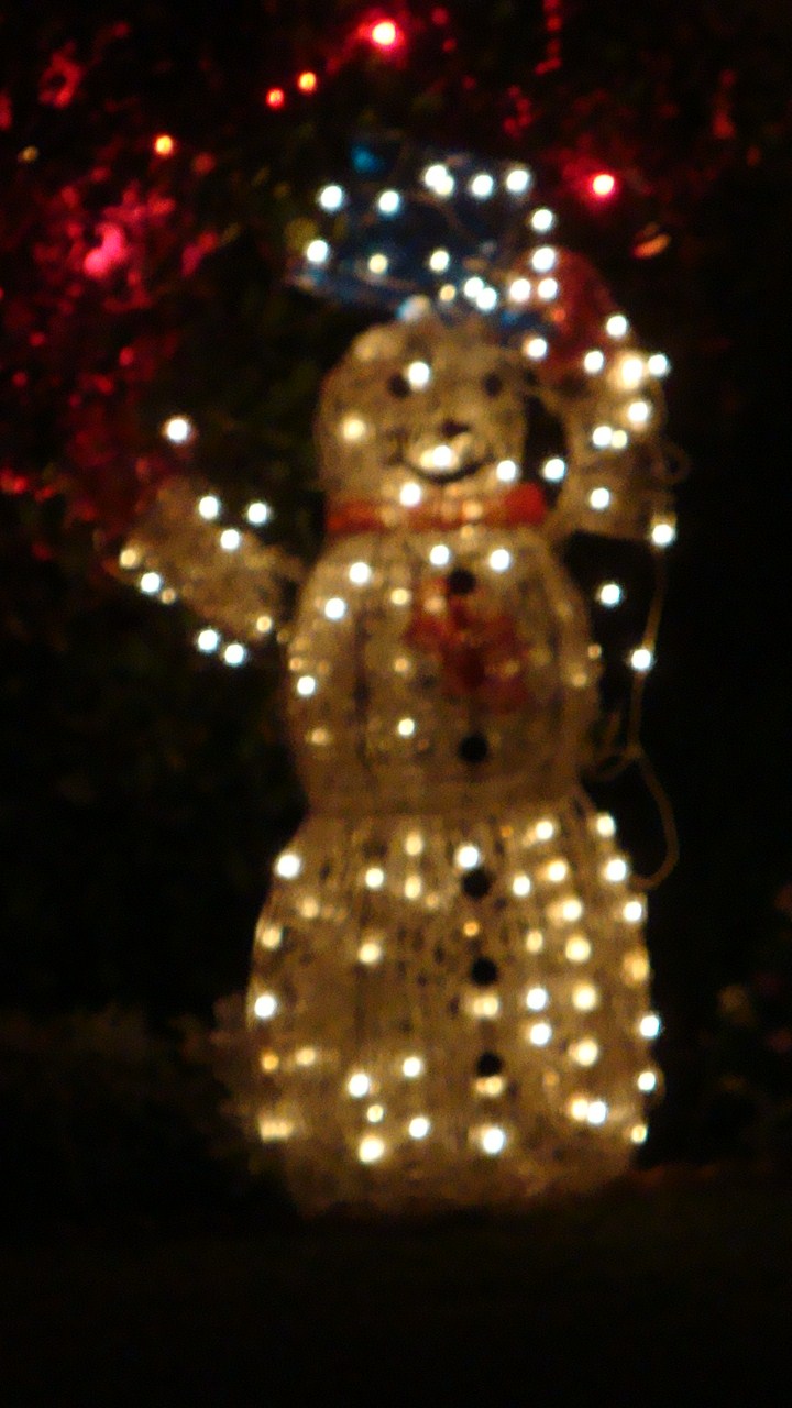 [DSC01303.JPG]