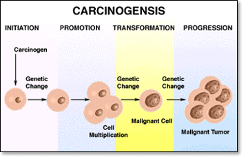 [carcinogenesis.gif]
