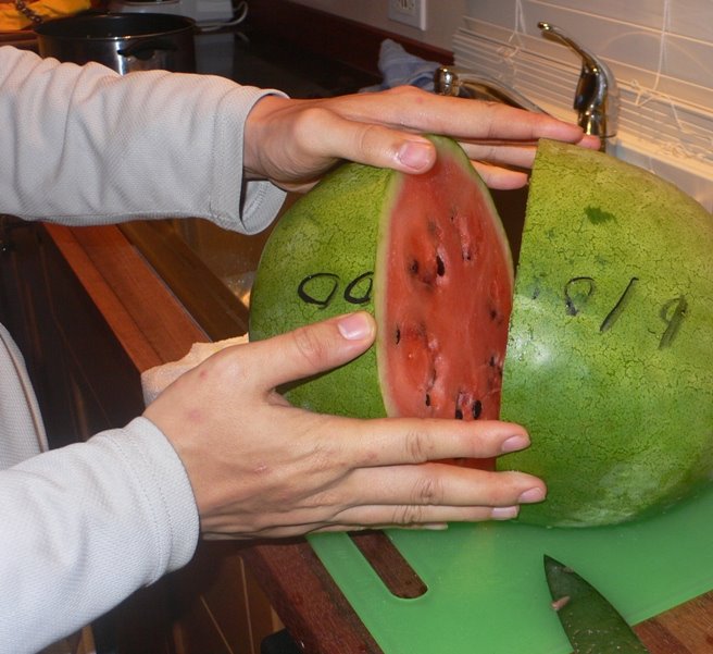 [P1170431.JPG]