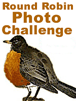RR photo Challenge