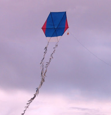 n691708718_500901_7508.jpg