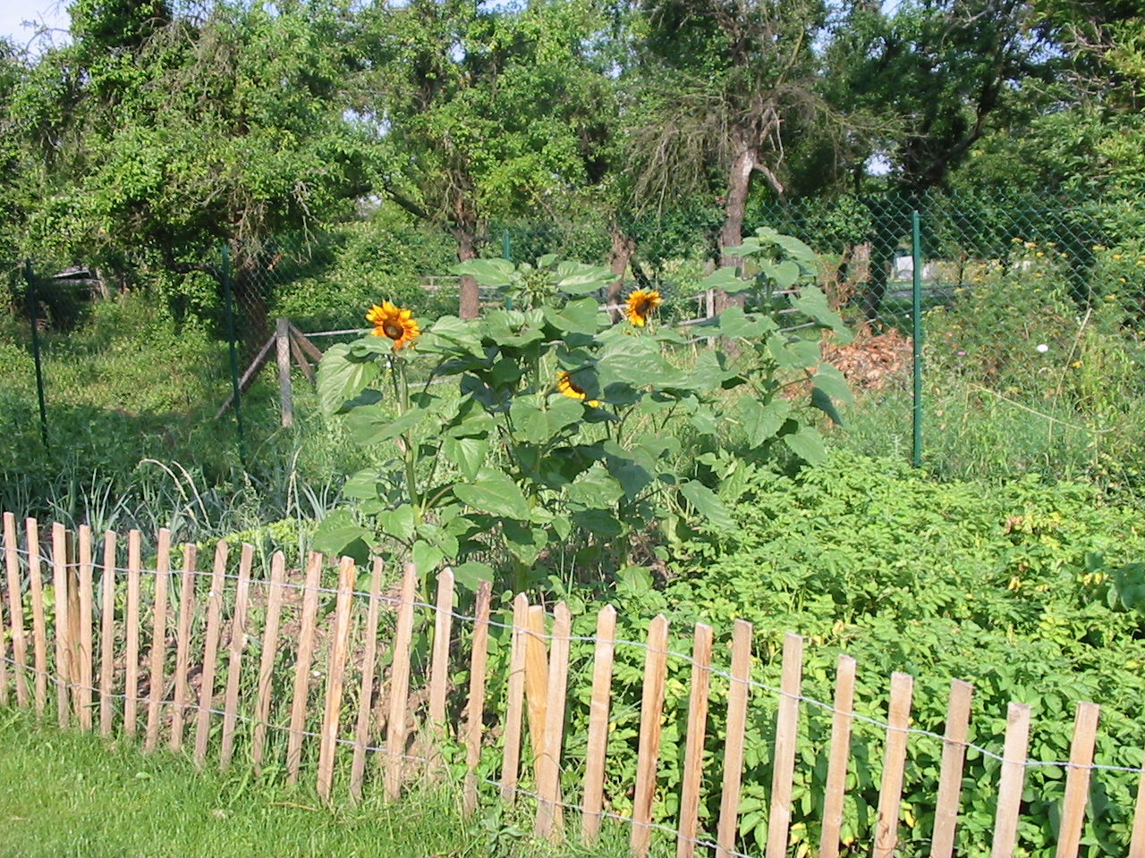 Les Jardiniers de France