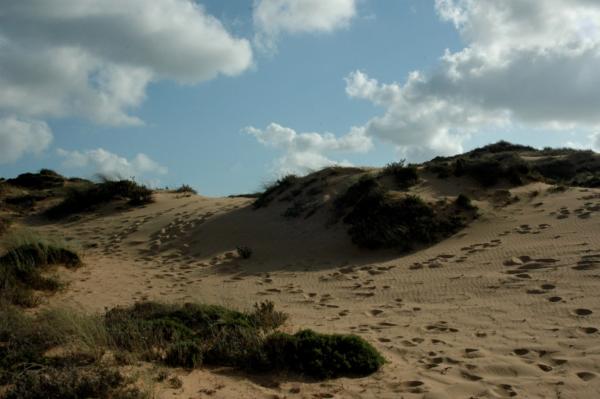 dunas_zambujeira_mb.jpg