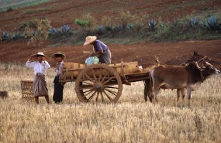 Resultado de imagem para agricultura tradicional