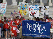ALA Rally for Libraries 2010