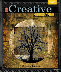 My book "The Creative Photographer"