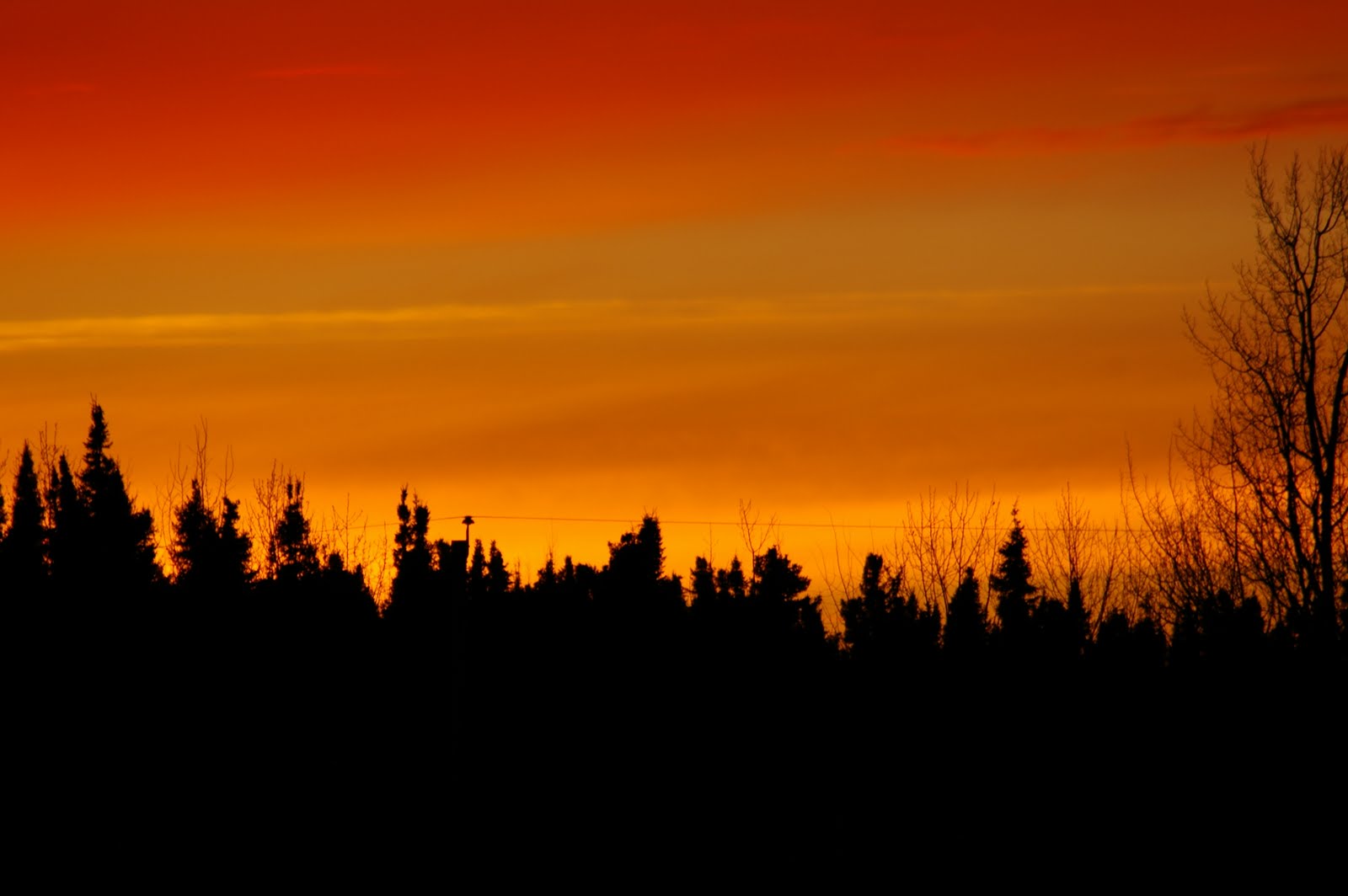 God's Lake Narrows Nature