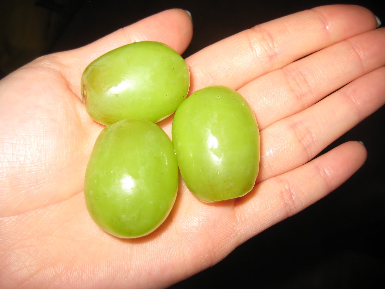 MizzSandyChau Giant grapes