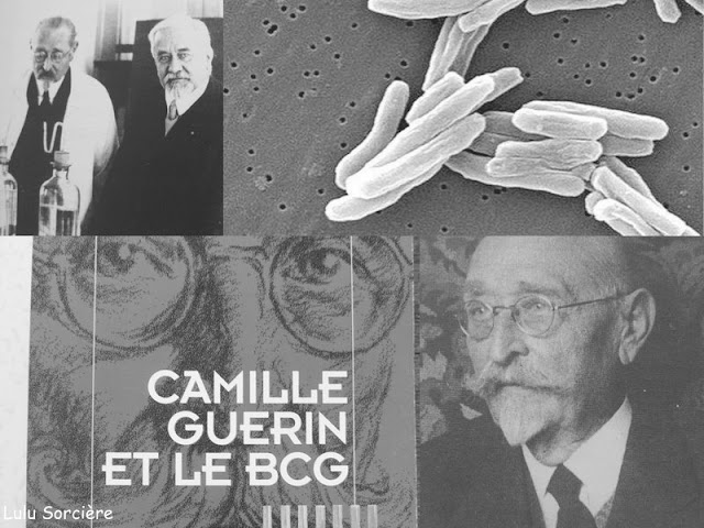 Lulu Sorcière Archive Journée Mondiale contre la Lulu Sorcière Archive Journée Mondiale contre la