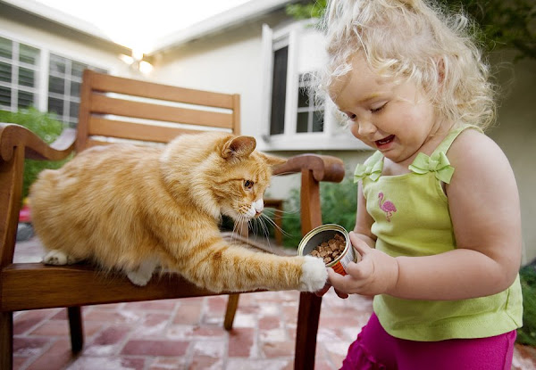 [fotos+de+perros+20.jpg]