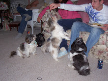 Mom & Dad & Amy, my sisters dogs