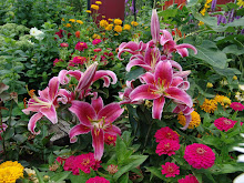 Flowers from my mother-in-law's yard Summer 2008