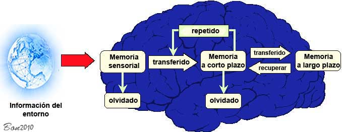Memory model