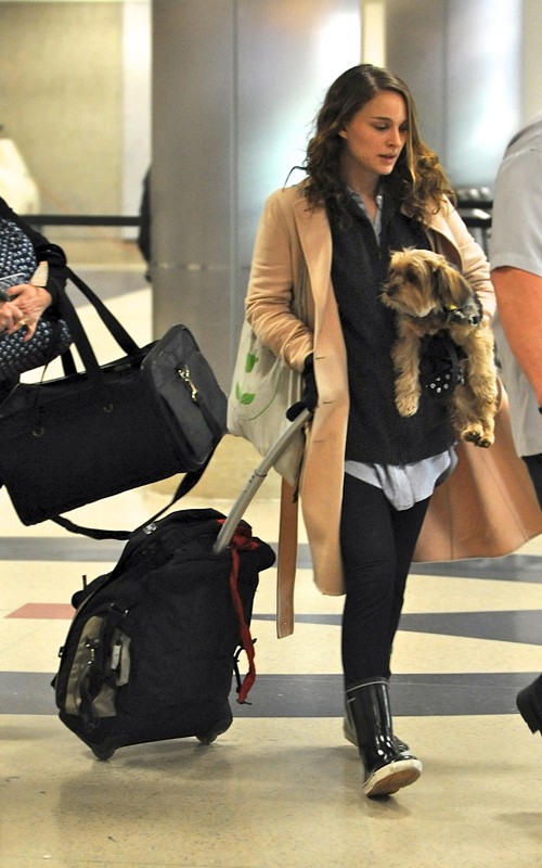 Wallpaper World: Natalie Portman passing through LAX Airport