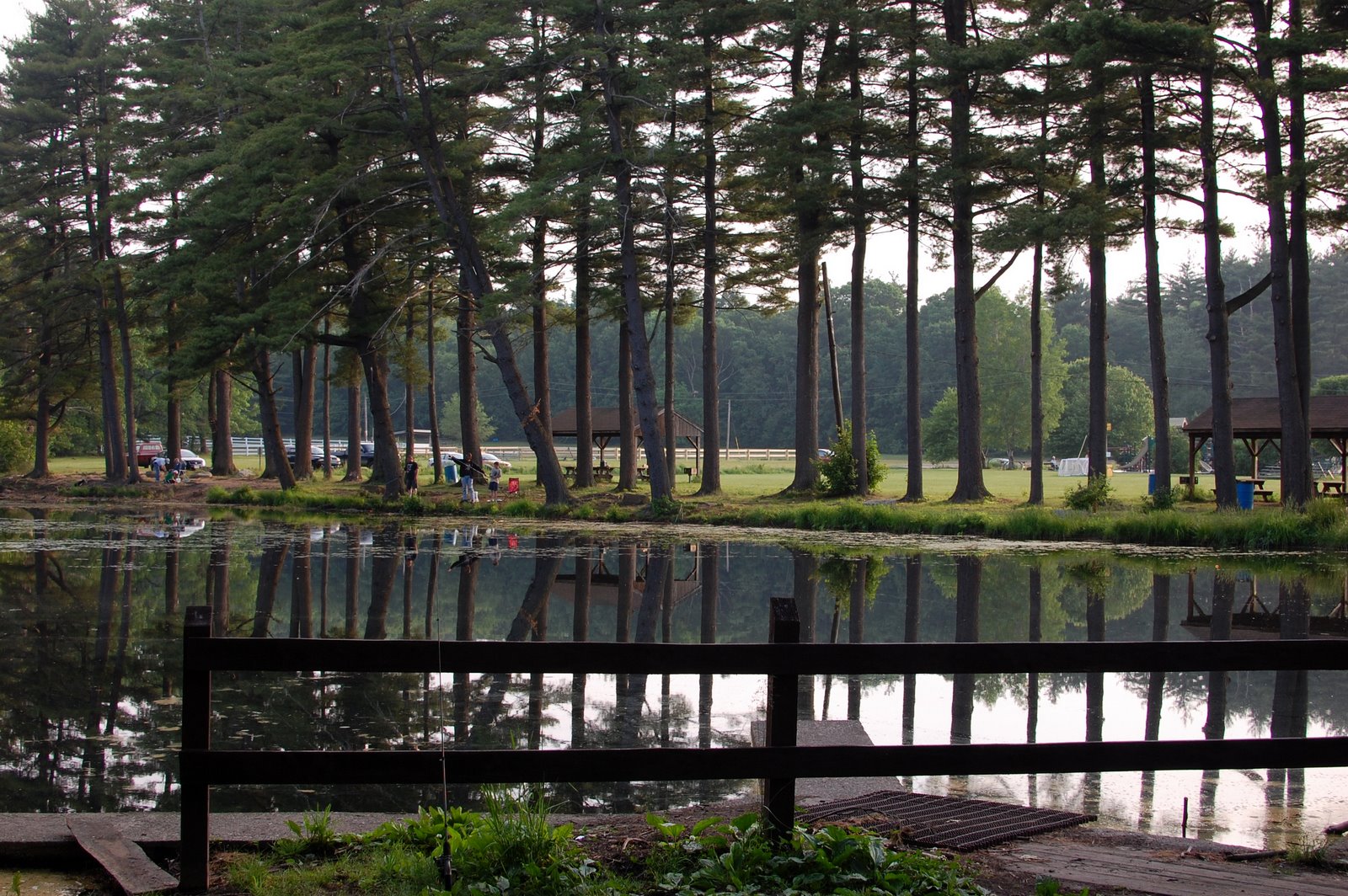 in the valley In Dog Years