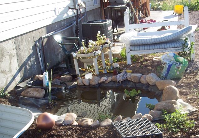 [pond.jpg]