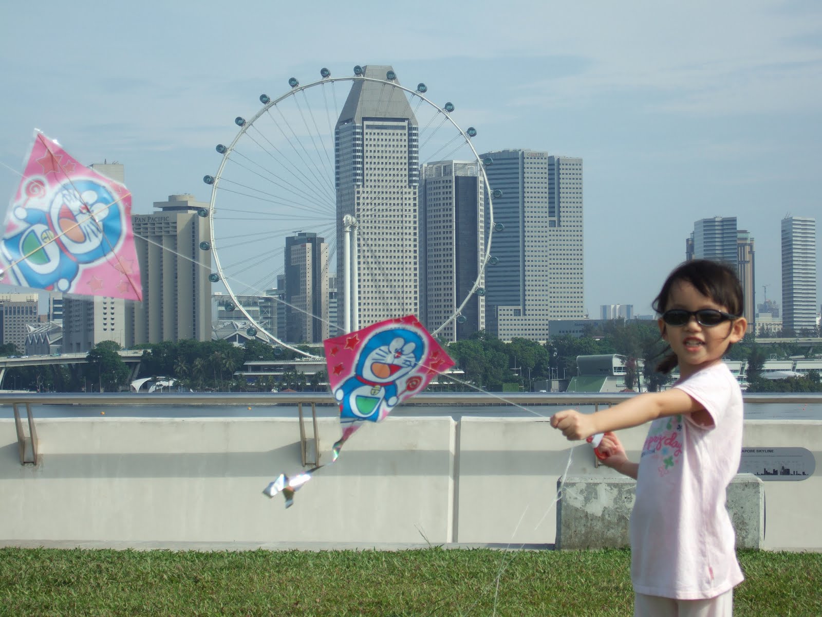 Buy Kites in Singapore Kites Videos Upload