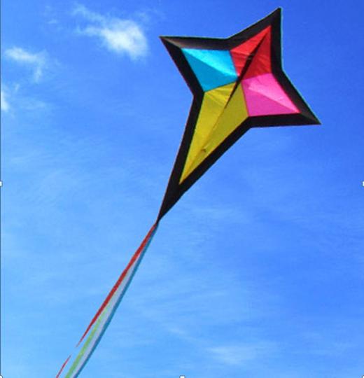 Buy Kites in Singapore Kites Giant Part 3