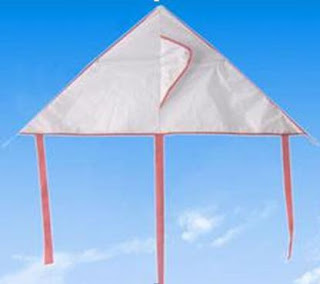 diy kite boat