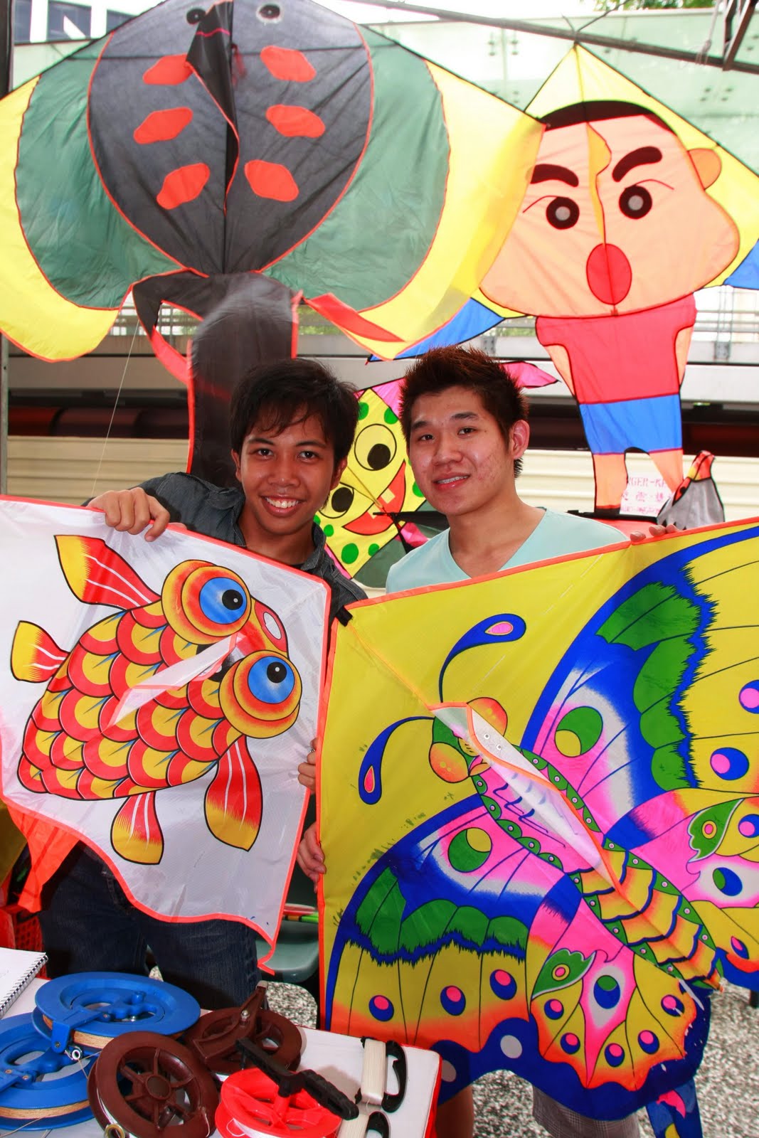 Buy Kites in Singapore Kites Videos