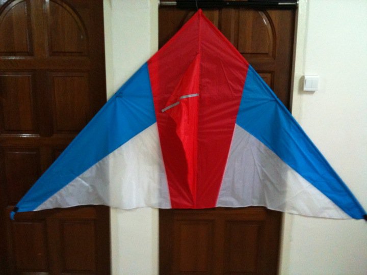 Buy Kites in Singapore Kites Giant Part 1