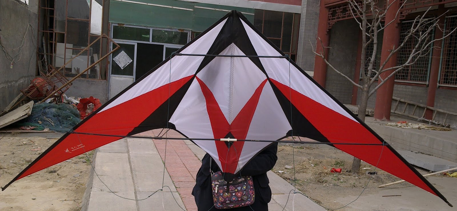 Buy Kites in Singapore Kites Power / Parafoil Kite