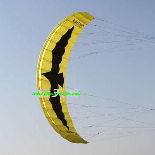 Buy Kites in Singapore Kites Power / Parafoil Kite