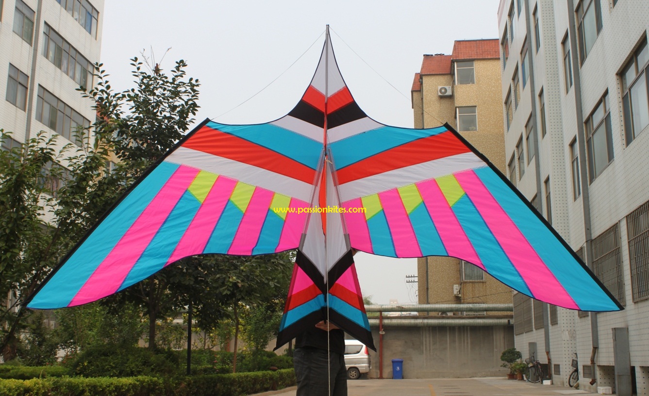 Buy Kites in Singapore Giant Kites Part 2