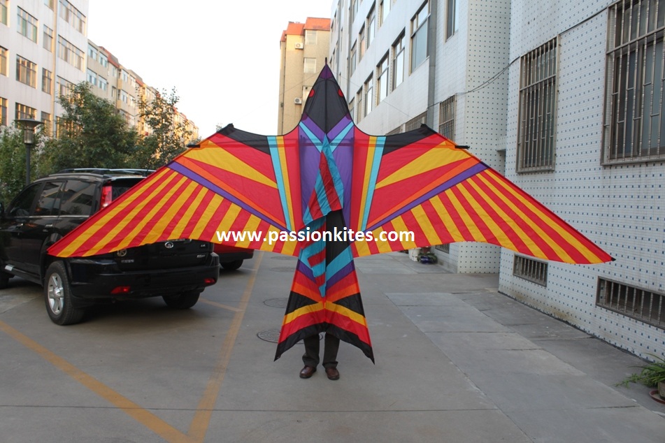 Buy Kites in Singapore New Product Updates