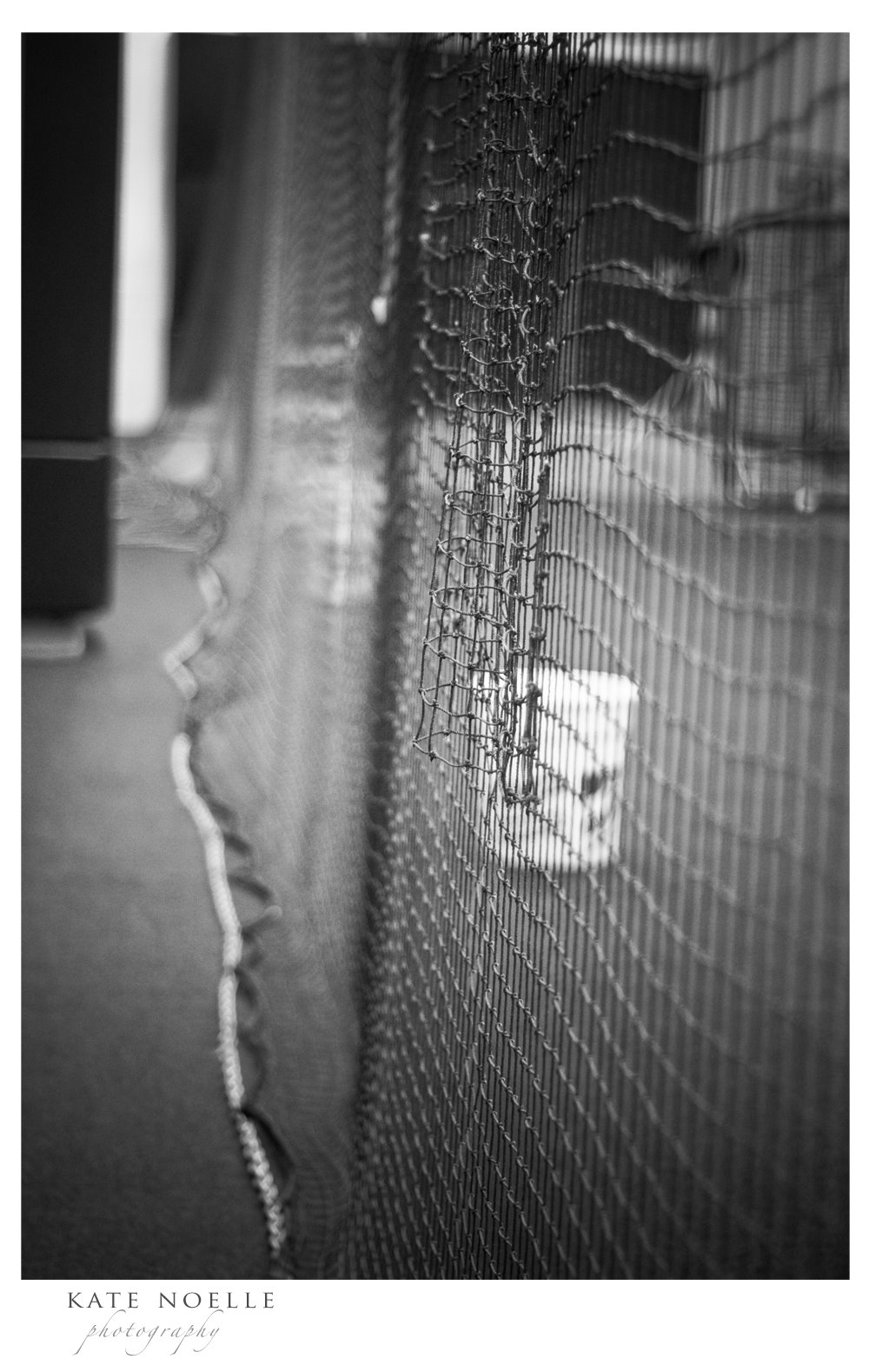 [Daniel+and+Heather+Eng.085+TM.jpg]