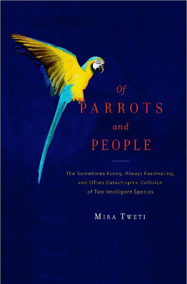 [parrots.jpg]