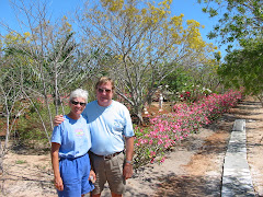 Jane & Paul Olson