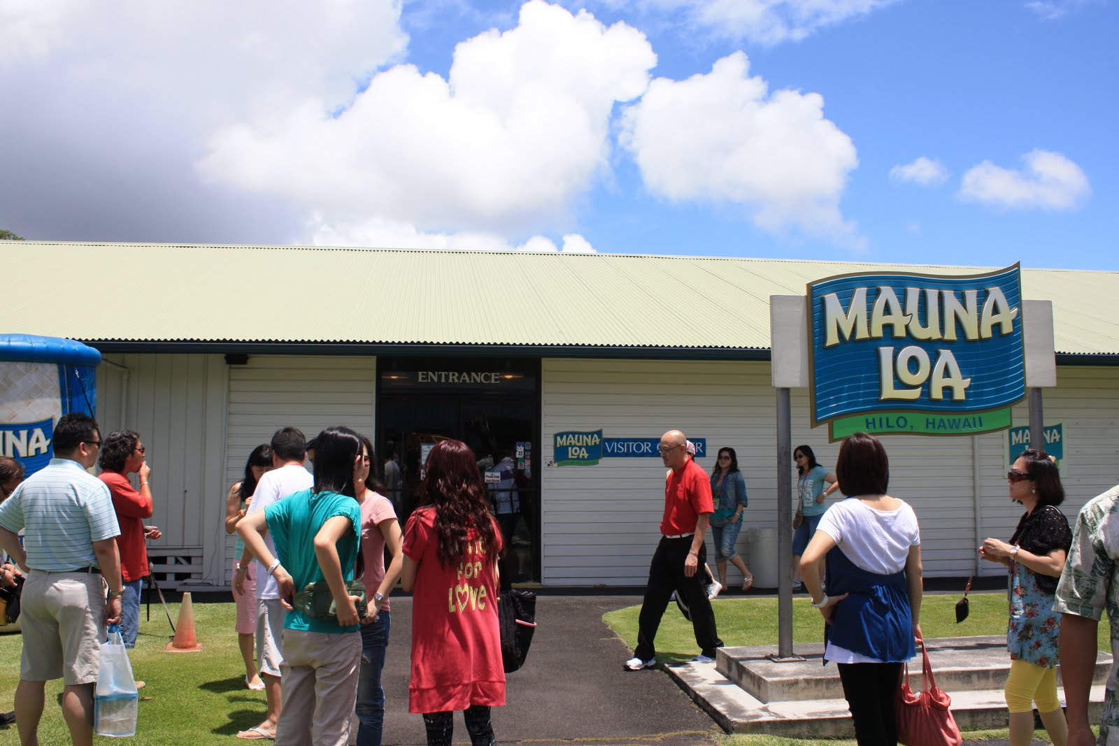 Quarterlife Adventures Mauna Loa Macadamia Nut Farm Hilo, Hawaii