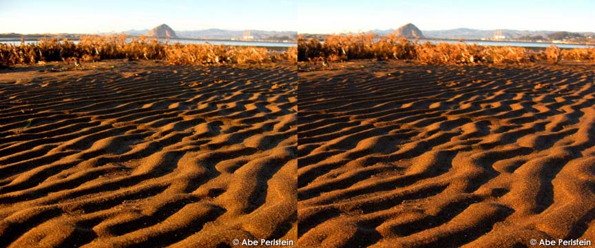 [071112-Baywood--Exposed-mud-patterns-to-Rock-X-C-BLOG.jpg]