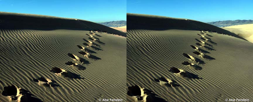 [080112-Oceano-Dunes-3-X-C-BLOG.jpg]
