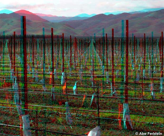 [080126-Salinas-area--Vineyard-perspectives-1-ANA-C-BLOG.jpg]