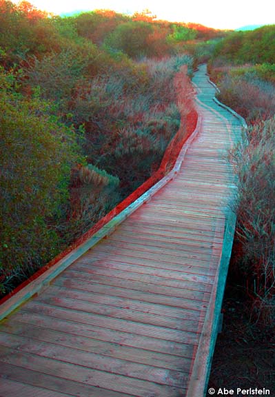 [080210-Elfin-Forest--boardwalk-to-Siennas-Point-ANA-C-BLOG.jpg]