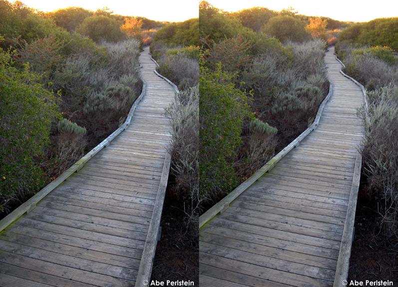 [080210-Elfin-Forest--boardwalk-to-Siennas-Point-X-C-BLOG.jpg]