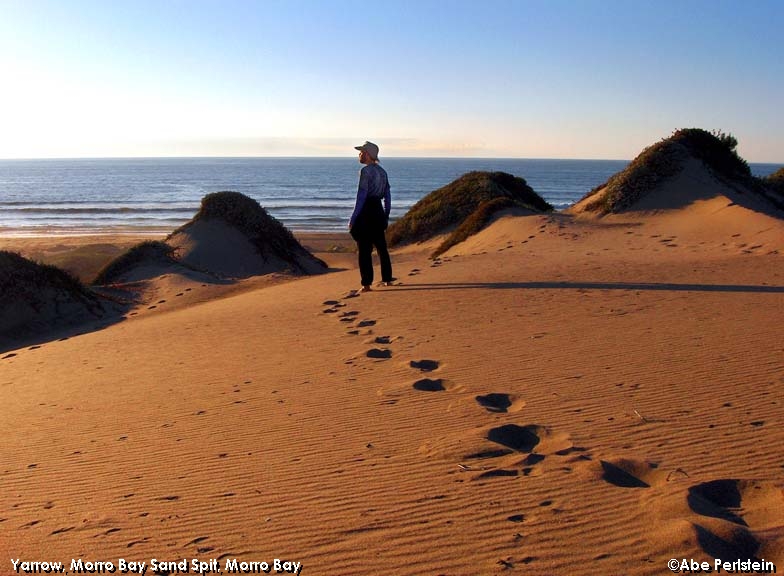 [061003-Sand-spit--Yarrow-Nelson-on-dunes-E-C.jpg]