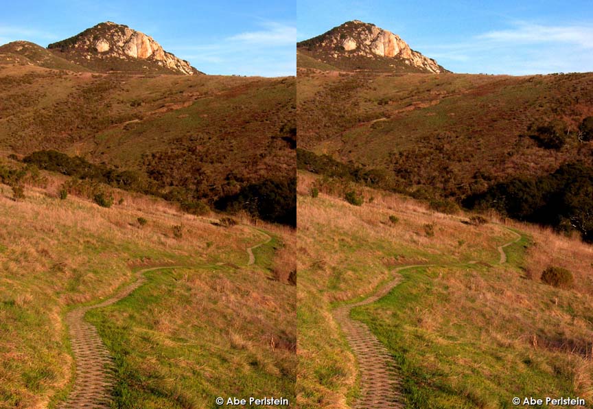 [070217-Cabrillo-Trails-Area--Crespi-Trail--bricks-1-X-C-BLOG.jpg]
