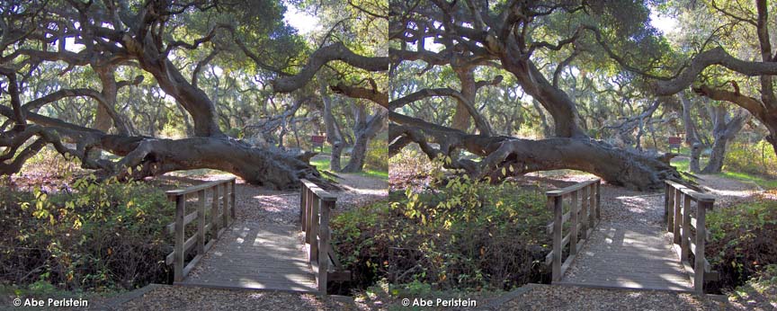 [070107-Los-Osos-Oaks--entrance-bridge-X-C-BLOG.jpg]