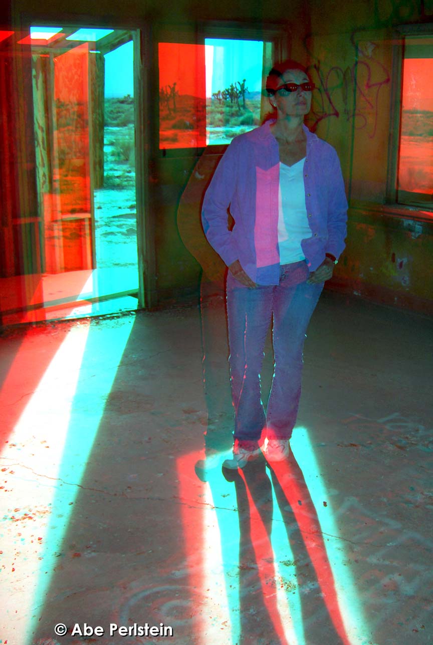 [070102-High-Desert--green-shack--Pat-inside-1-ANA-C-BLOG.jpg]