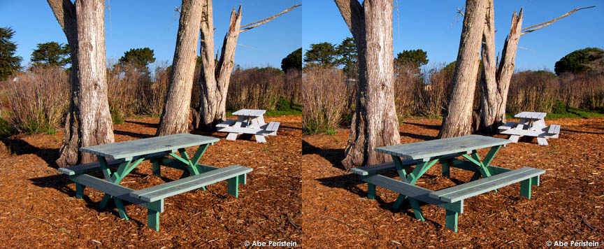 [070302-Baywood--picnic-benches-X-C-BLOG.jpg]