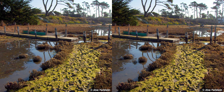 [070302-Baywood--wetlands-and-dock-X-C-BLOG.jpg]