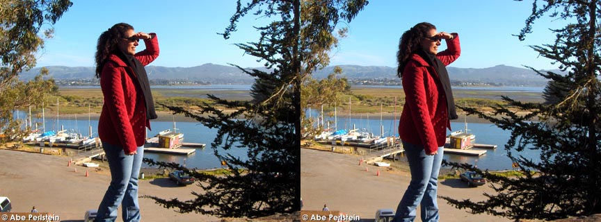 [070413-Morro-Bay--marina--Pat-looks-out-over-estuary-X-C-BLOG.jpg]