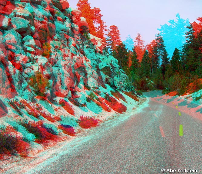 [070603-Sierra-Natl-Forest--Scenic-Byway--red-wildflowers-3-ANA-C-BLOG.jpg]