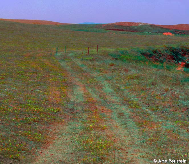 [070720-Pt-Buchon--poppies--bluff-top-road-ANA-C-BLOG.jpg]